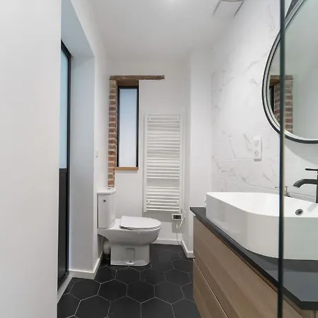 Le Girard - Centre Apartment Vichy